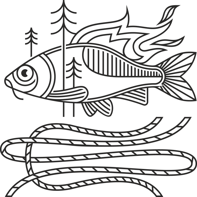 ⛺ Табір «Таємниця Долини Карпа» | 1 Зміна (20.07 - 29.07)